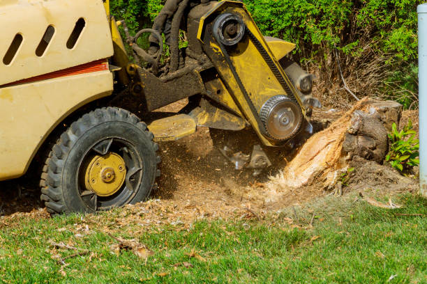 Landscape Design and Installation in Magnolia, TX